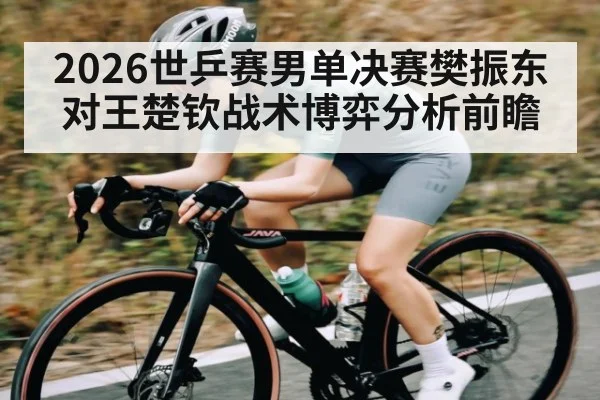 2026世乒赛男单决赛樊振东对王楚钦战术博弈分析前瞻