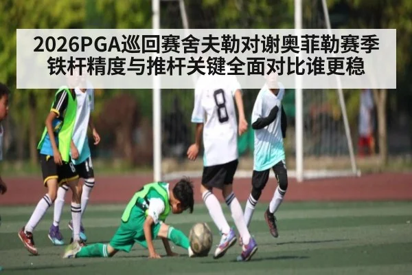 2026PGA巡回赛舍夫勒对谢奥菲勒赛季铁杆精度与推杆关键全面对比谁更稳